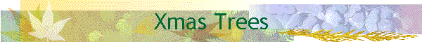 Xmas Trees