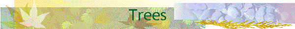 Trees