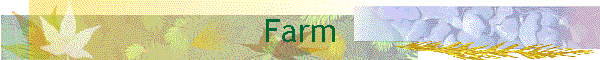 Farm